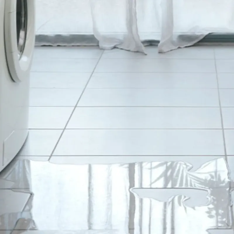 Appliance Leak Cleanup in Colfax, CA