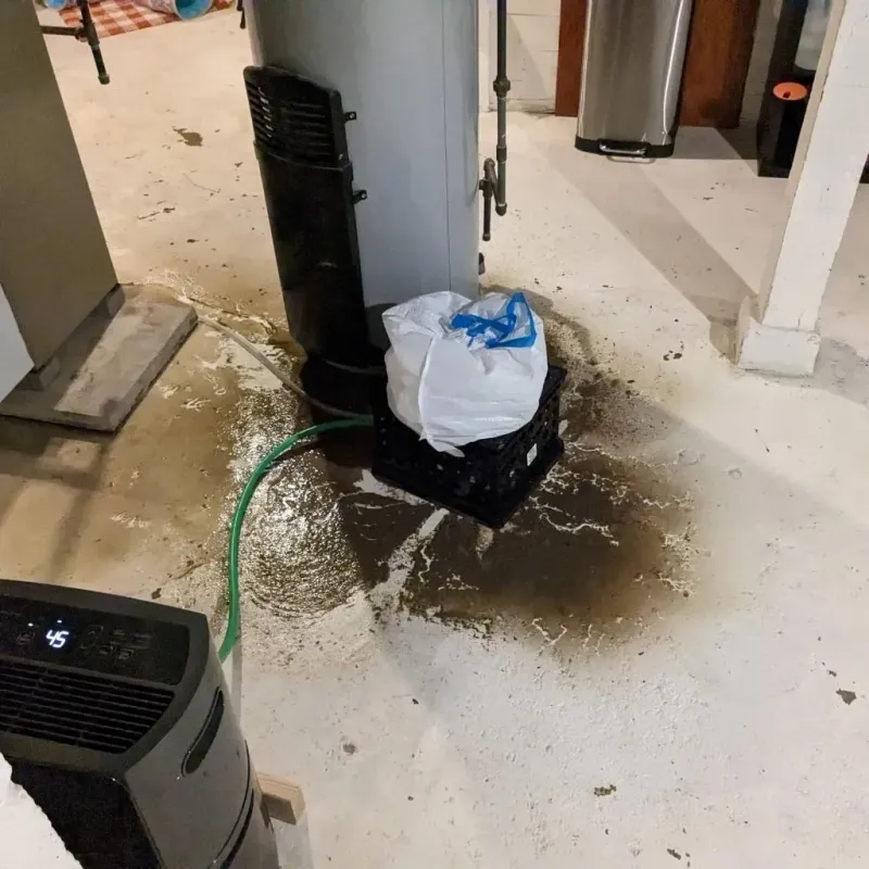 Sewage Backup Cleanup Service in Colfax, CA